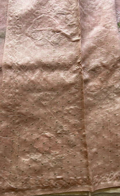 Tissue Organza Designer Saree Peach colored Saree Paired with a Thread border. - Sampradaya Designer Studio
