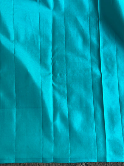 Pure Kanjivaram Silk Saree Sky Blue Colored Complemented with Gold Zari Weaving Border. - Sampradaya Designer Studio